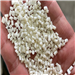 Monthly Supply of 100 Tons of Recycled Nylon Pellets from Taichung Port, Taiwan